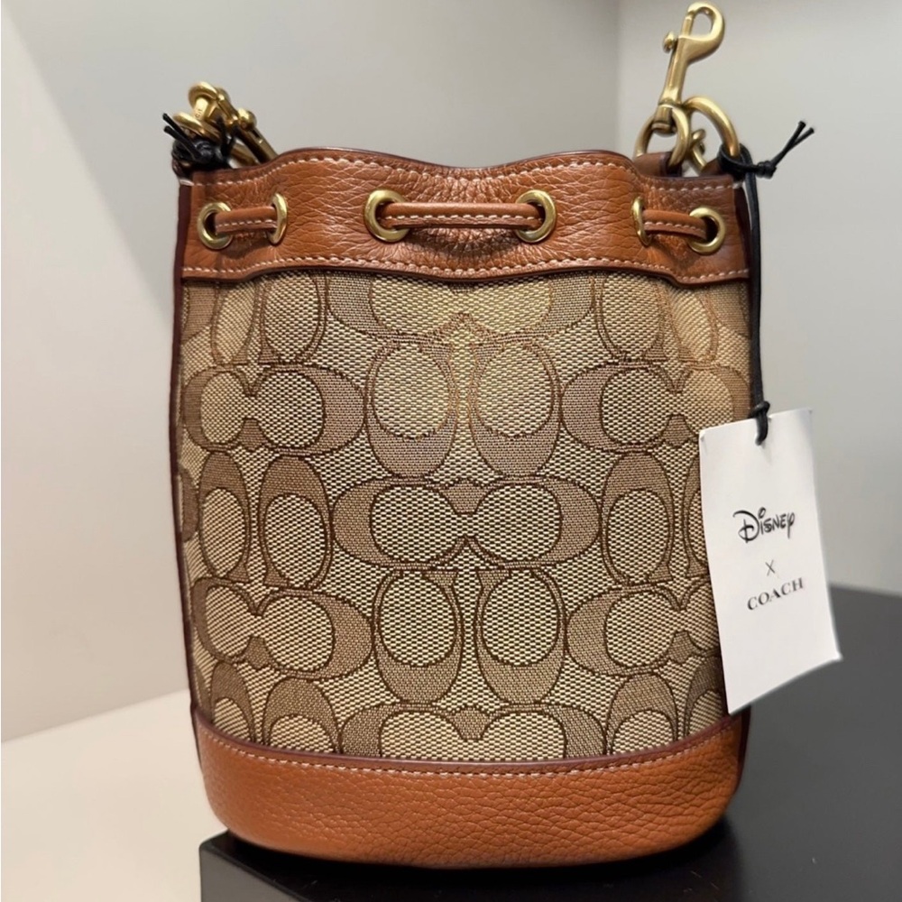 NWT Disney X Coach Mini Dempsey Bucket Bag With Mickey Mouse CN499 - Picture 5 of 9